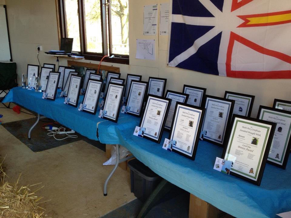 Why do we give so many awards?