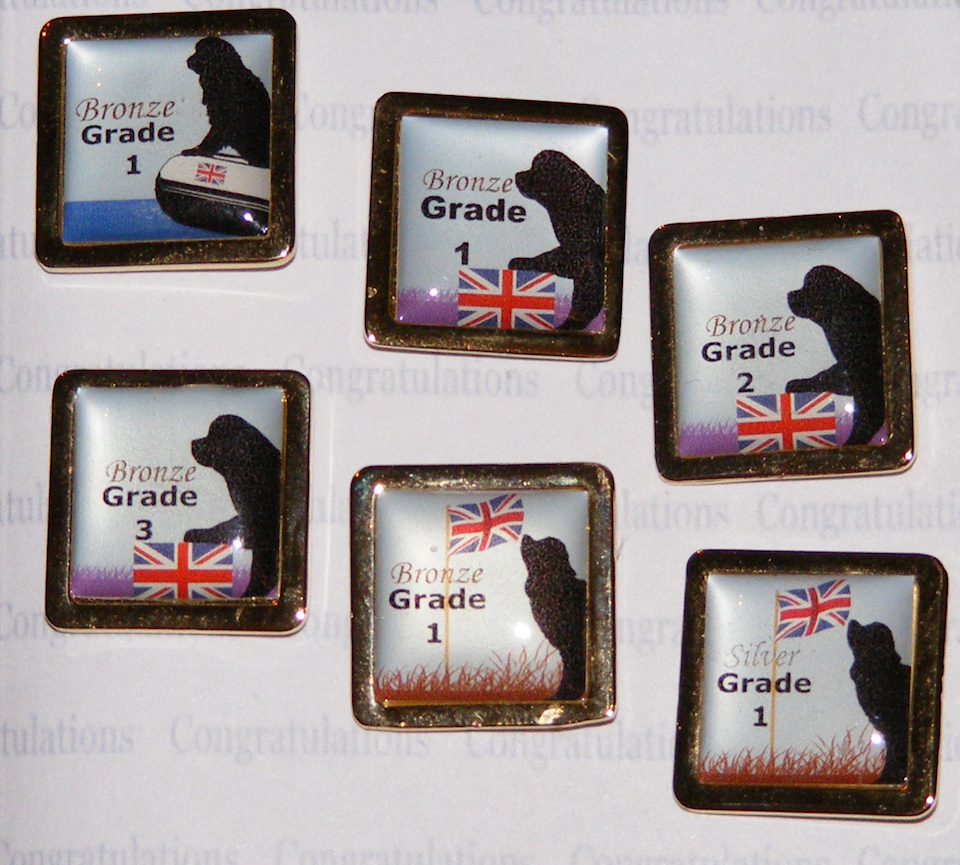 Multi-Pass Badges